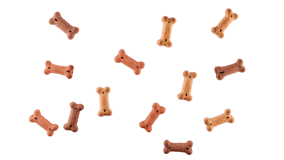 rudis-radladen-neckargemuend-teamvorstellung-nala Auf dem Bild sind fliegende Hundeleckerlies in Form von knochenförmigen Snacks zu sehen. Die Leckerlies schweben in der Luft und bilden eine verlockende Formation, die die Aufmerksamkeit und Neugier von Hunden auf sich zieht.