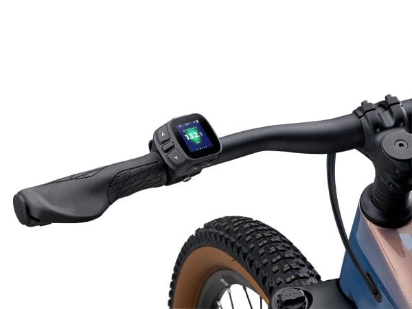 Liv By Giant Lite E MTB 2026 Rudis Radladen EBIKE E-Bike